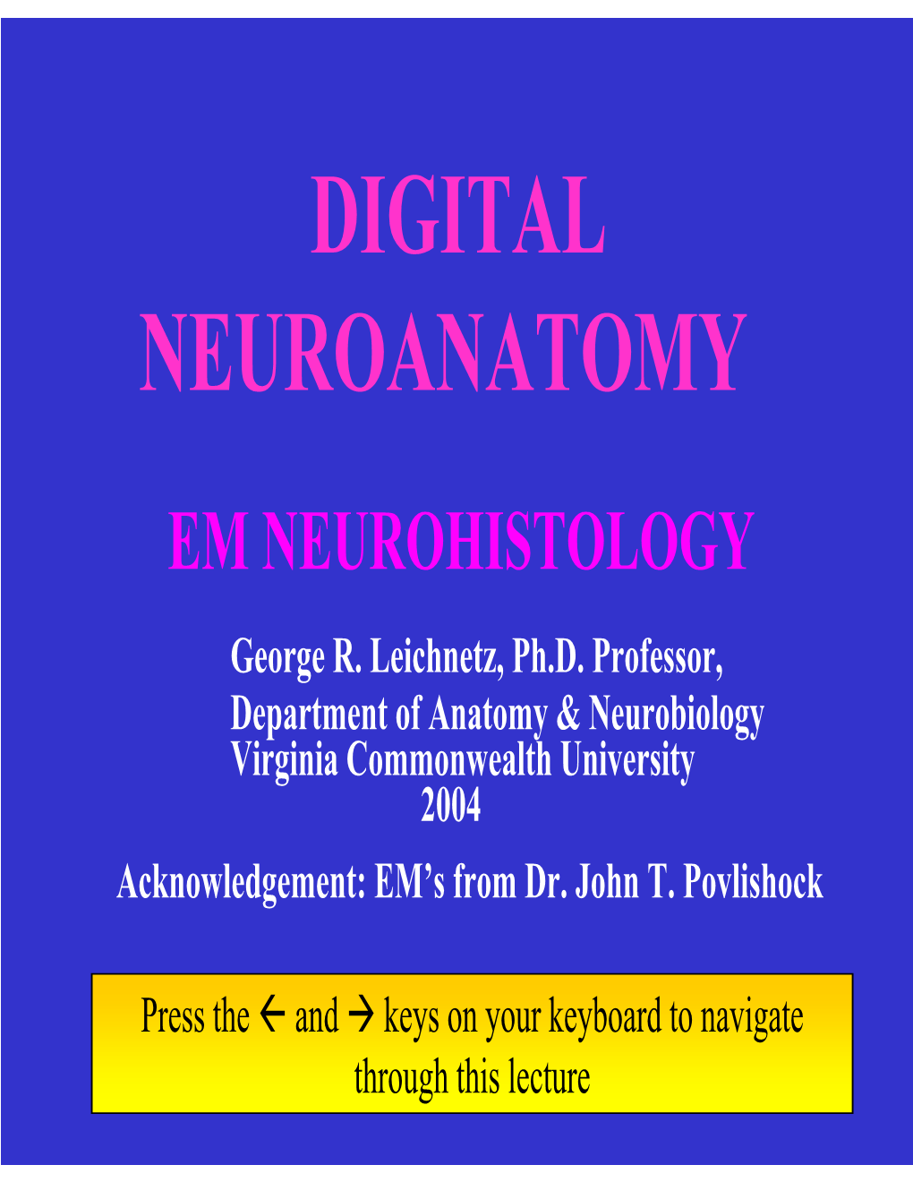 Digital Neuroanatomy