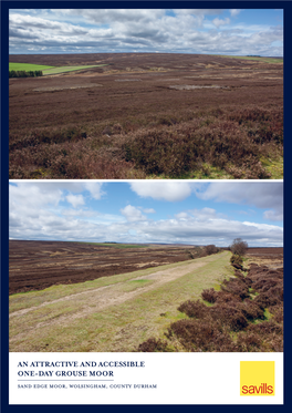 An Attractive and Accessible One-Day Grouse Moor