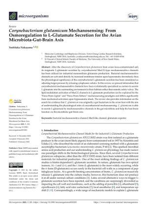 Corynebacterium Glutamicum Mechanosensing: from Osmoregulation to L-Glutamate Secretion for the Avian Microbiota-Gut-Brain Axis