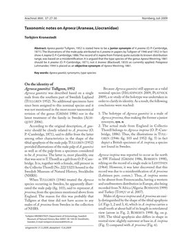 Taxonomic Notes on Agroeca (Araneae, Liocranidae)