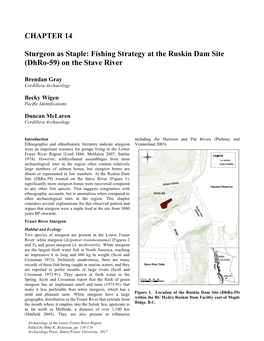 Fishing Strategy at the Ruskin Dam Site (Dhro-59) on the Stave River