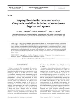 Aspergillosis in the Common Sea Fan Gorgonia Ventalina: Isolation of Waterborne Hyphae and Spores