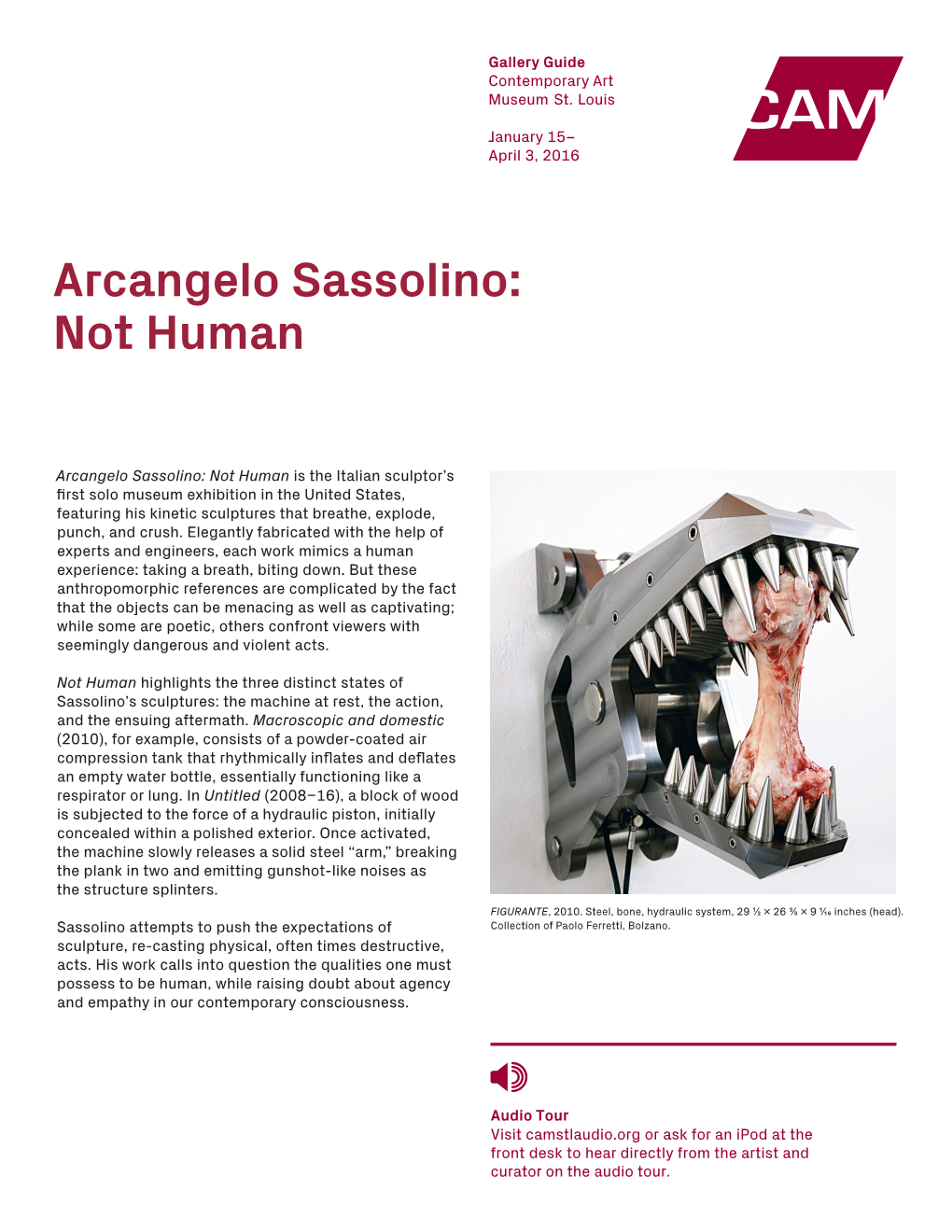 Arcangelo Sassolino: Not Human