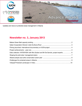 Newsletter No. 3, January 2013