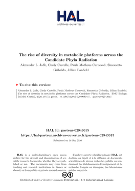 The Rise of Diversity in Metabolic Platforms Across the Candidate Phyla Radiation Alexander L
