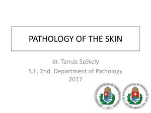 Pathology of the Skin