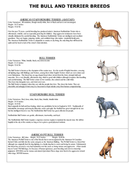 The Bull and Terrier Breeds