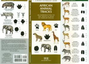 African Mammals (Tracks)