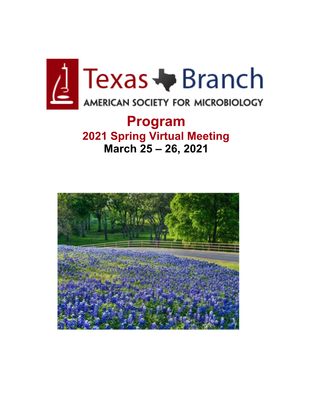 Program 2021 Spring Virtual Meeting March 25 – 26, 2021