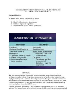 General Morphology, Life-Cycles, Adaptations and Classification of Protozoan