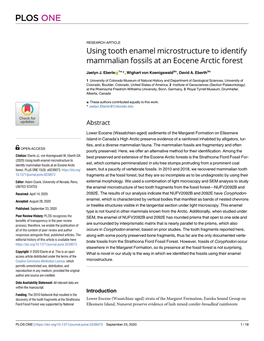 Using Tooth Enamel Microstructure to Identify Mammalian Fossils at an Eocene Arctic Forest