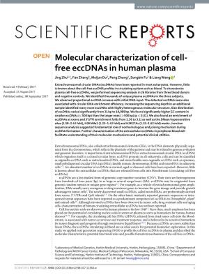 Molecular Characterization of Cell-Free Eccdnas in Human Plasma