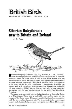 Siberian Ruby Throat: New to Britain and Ireland A