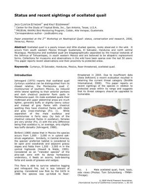 Status and Recent Sightings of Ocellated Quail