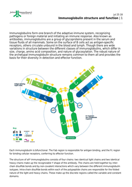 Immunoglobulin Structure and Function | 1