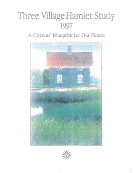 Three Village Hamlet Stuoly 1997 a Citizens' Blueprint for Our Future