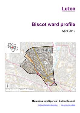 Biscot Ward Profile April 2019