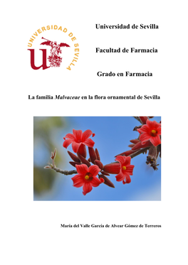 La Familia Malvaceae En La Flora Ornamental De Sevilla