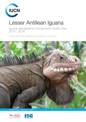 Lesser Antillean Iguana Iguana Delicatissima: Conservation Action Plan, 2014—2016