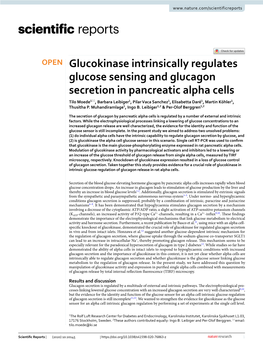 Glucokinase Intrinsically Regulates Glucose Sensing and Glucagon