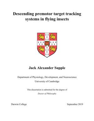 Descending Premotor Target Tracking Systems in Flying Insects
