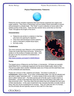 Marine Biology Phylum Platyhelminthes: Flatworms