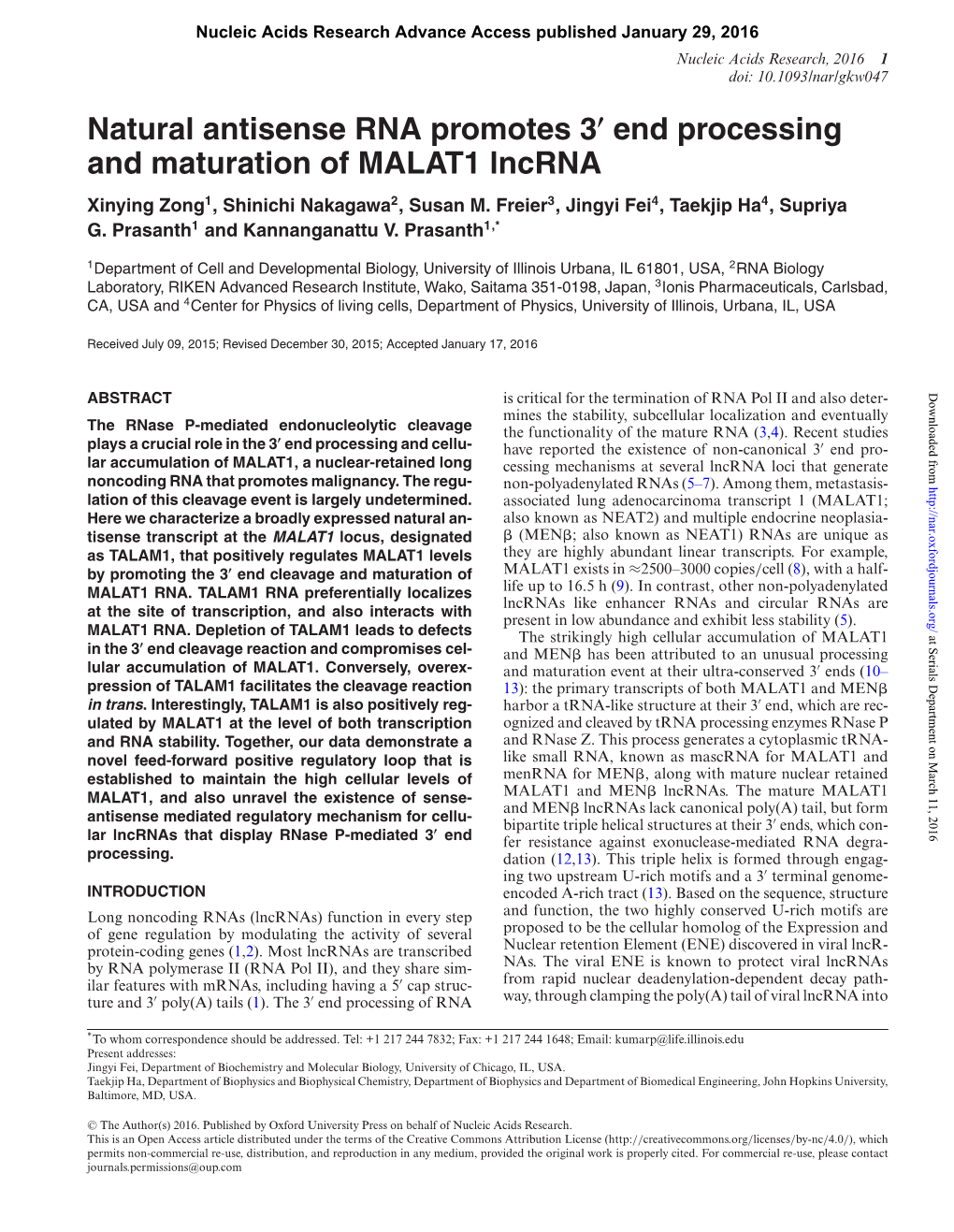 End Processing and Maturation of MALAT1 Lncrna Xinying Zong1, Shinichi Nakagawa2, Susan M