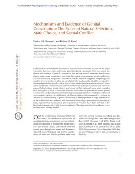 Mechanisms and Evidence of Genital Coevolution: the Roles of Natural Selection, Mate Choice, and Sexual Conﬂict