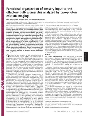 Functional Organization of Sensory Input to the Olfactory Bulb Glomerulus Analyzed by Two-Photon Calcium Imaging