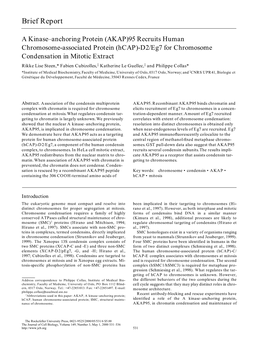 (Hcap)-D2/Eg7 for Chromosome Condensation in Mitotic Extract