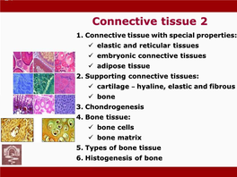 Connective Tissue 2