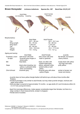 Brown Honeyeater Lichmera Indistincta Species No.: 597 Band Size: 02 (01) AY