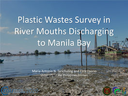 Plastic Wastes Survey in River Mouths Discharging to Manila Bay