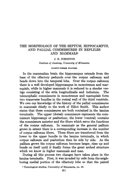 The Morphology of the Septum, Hippocampus, and Pallial Commissures in Repliles and Mammals' J