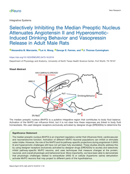 Selectively Inhibiting the Median Preoptic Nucleus Attenuates Angiotensin II and Hyperosmotic- Induced Drinking Behavior and Vasopressin Release in Adult Male Rats