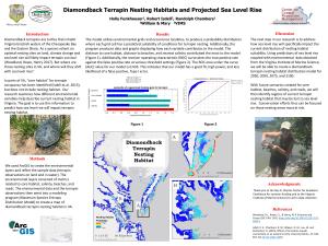 Diamondback Terrapin Nesting Habitats and Projected Sea Level Rise