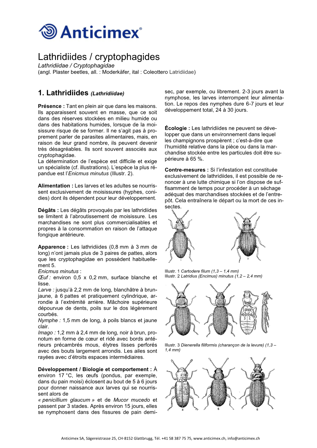 Lathridiides / Cryptophagides Lathridiidae / Cryptophagidae (Angl