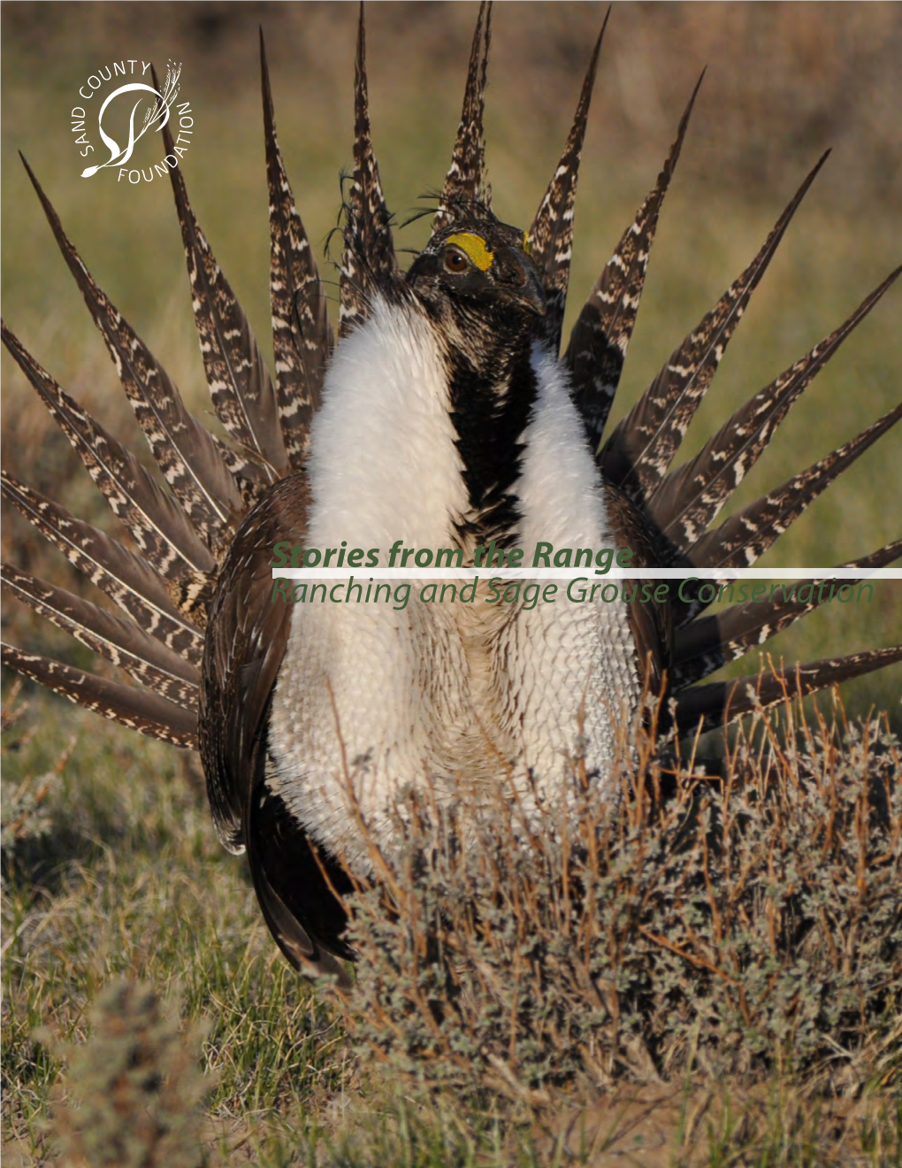 Stories from the Range Ranching and Sage Grouse Conservation Stories from the Range Ranching and Sage Grouse Conservation