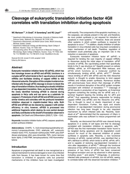 Cleavage of Eukaryotic Translation Initiation Factor 4GII Correlates with Translation Inhibition During Apoptosis