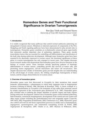 Homeobox Genes and Their Functional Significance in Ovarian Tumorigenesis