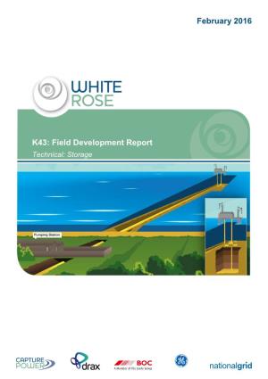 K43: Field Development Report Technical: Storage