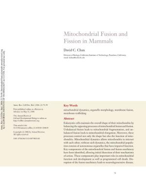 Mitochondrial Fusion and Fission in Mammals