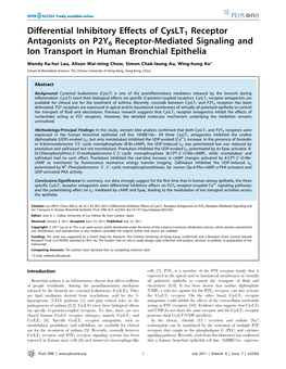 Differential Inhibitory Effects of Cyslt1 Receptor Antagonists on P2Y6 Receptor-Mediated Signaling and Ion Transport in Human Bronchial Epithelia