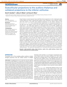 Subcollicular Projections to the Auditory Thalamus and Collateral Projections to the Inferior Colliculus