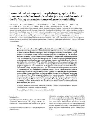 The Phylogeography of the Common Spadefoot Toad (Pelobates Fuscus), and the Role of the Po Valley As a Major Source of Genetic Variability