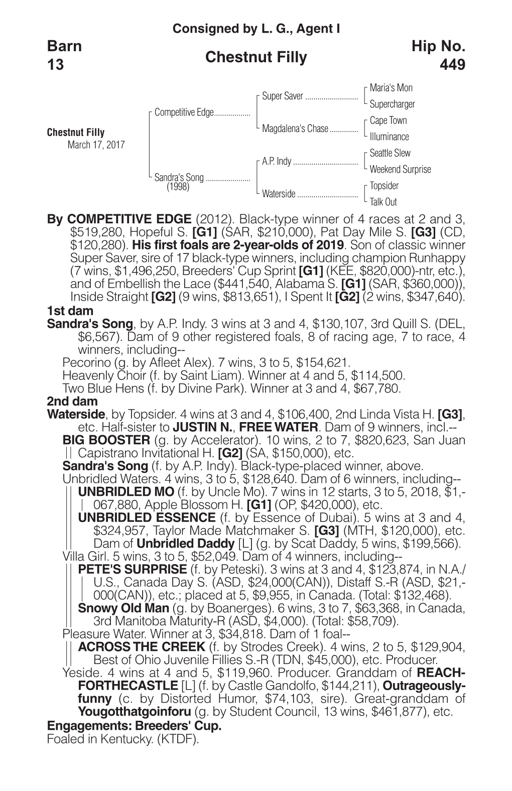 Chestnut Filly Barn 13 Hip No