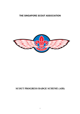 Air Scout Progress Badge 2011