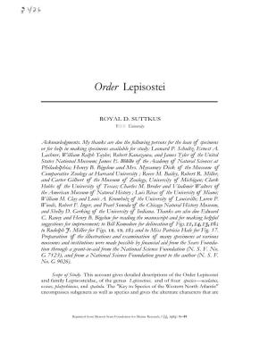 Order Lepisostei