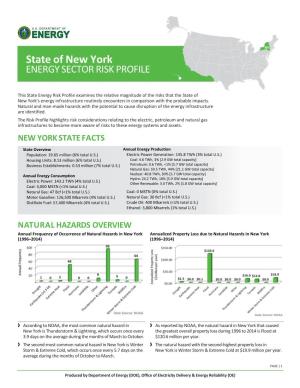 State of New York ENERGY SECTOR RISK PROFILE