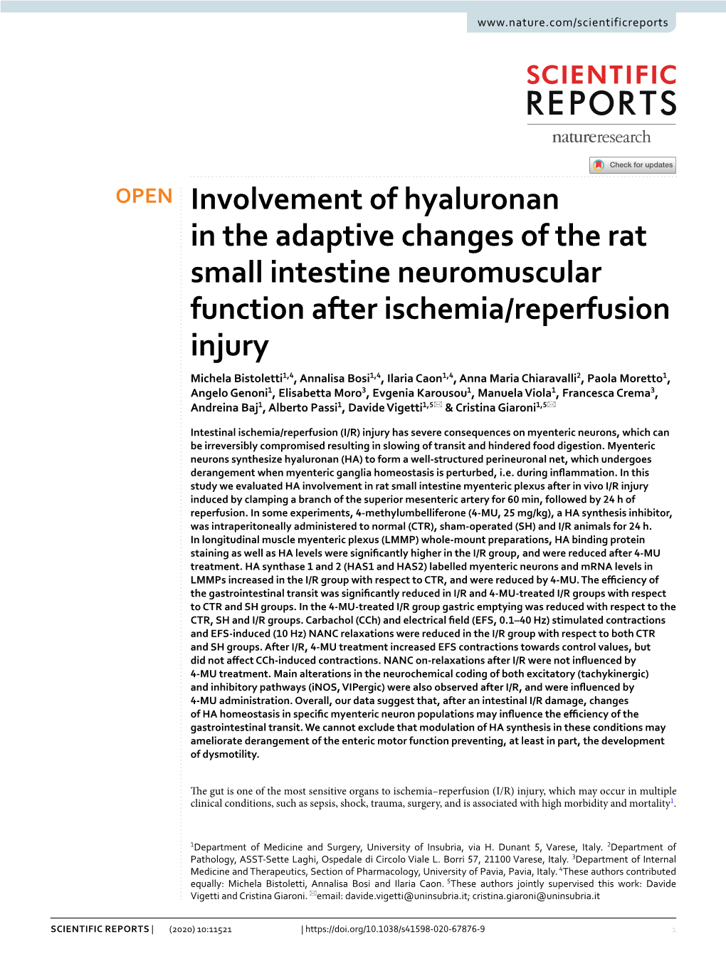 Involvement of Hyaluronan in the Adaptive Changes of the Rat Small